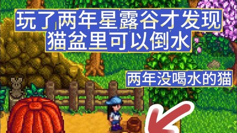 星露谷物语猫怎么喂水[图1]