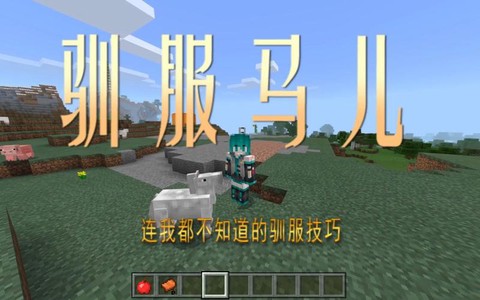 我的世界怎么让马繁殖