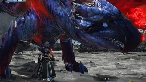 怪物猎人天慧龙弱什么