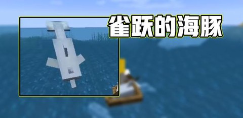我的世界海豚有什么用