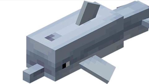 我的世界海豚有什么用[图1]