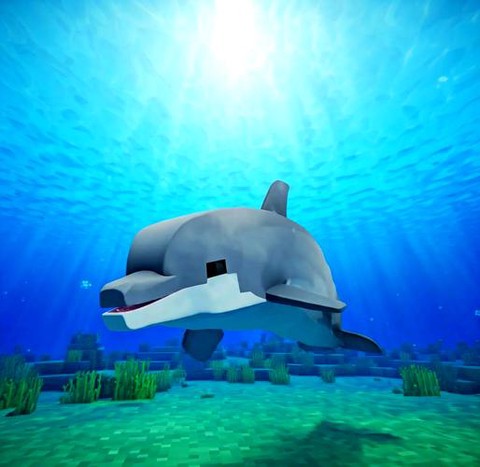 我的世界海豚有什么用[图2]