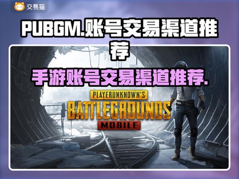 绝地求生用什么平台